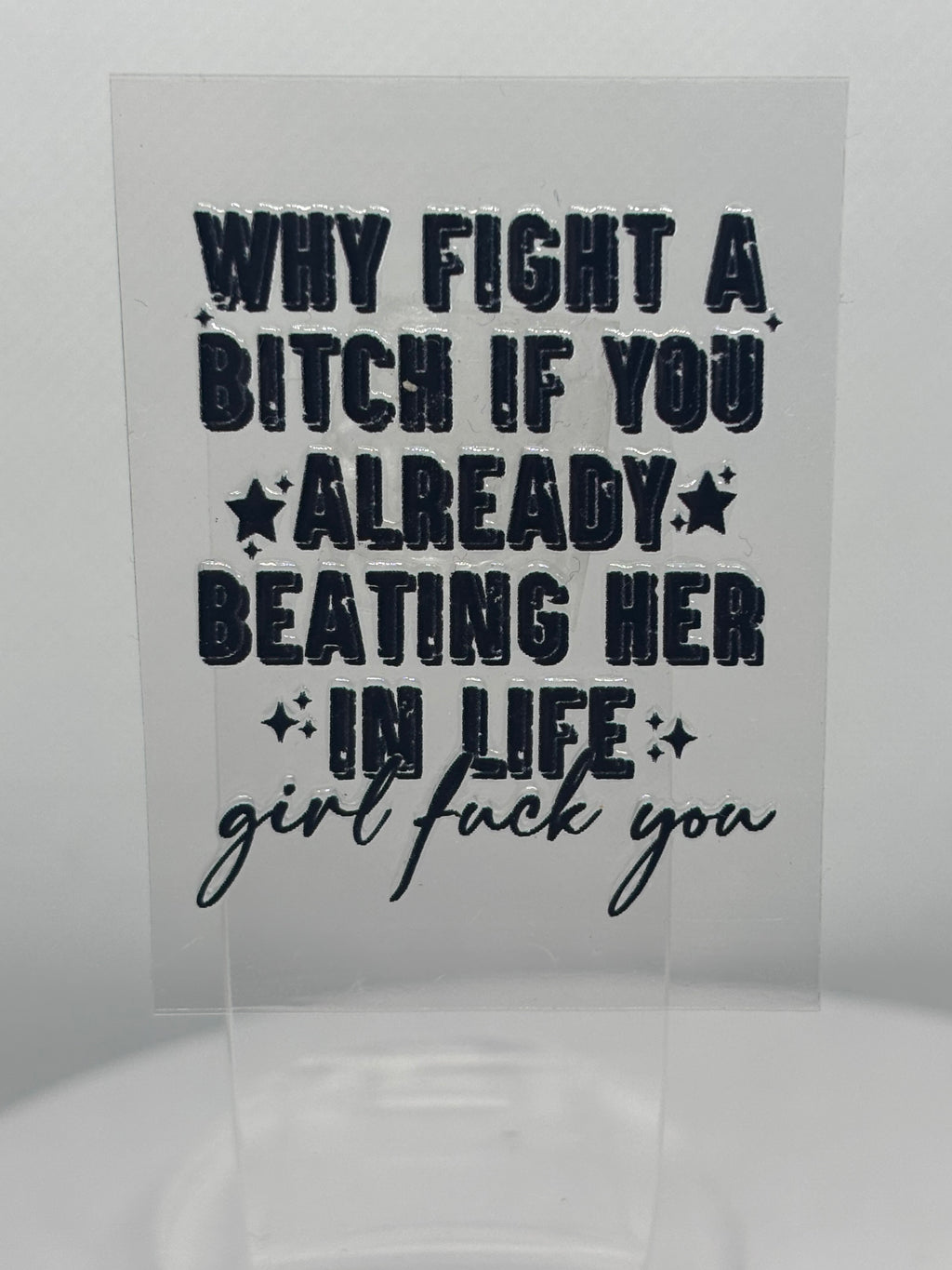 Why Fight A Bitch If You Already beating Her In Life